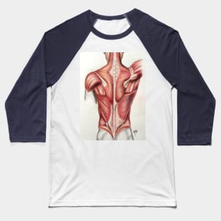 Anatomy. Body building Baseball T-Shirt